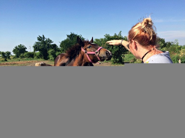 Nadira Riding Center