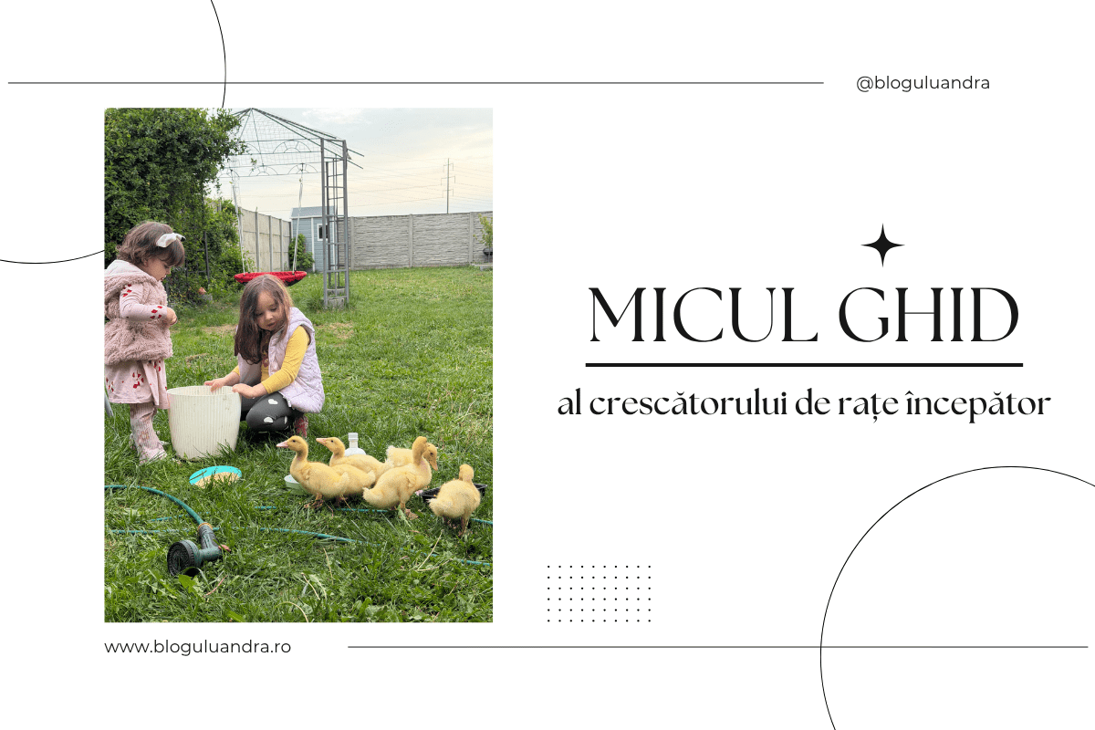 micul ghid al crescătorului de rațe