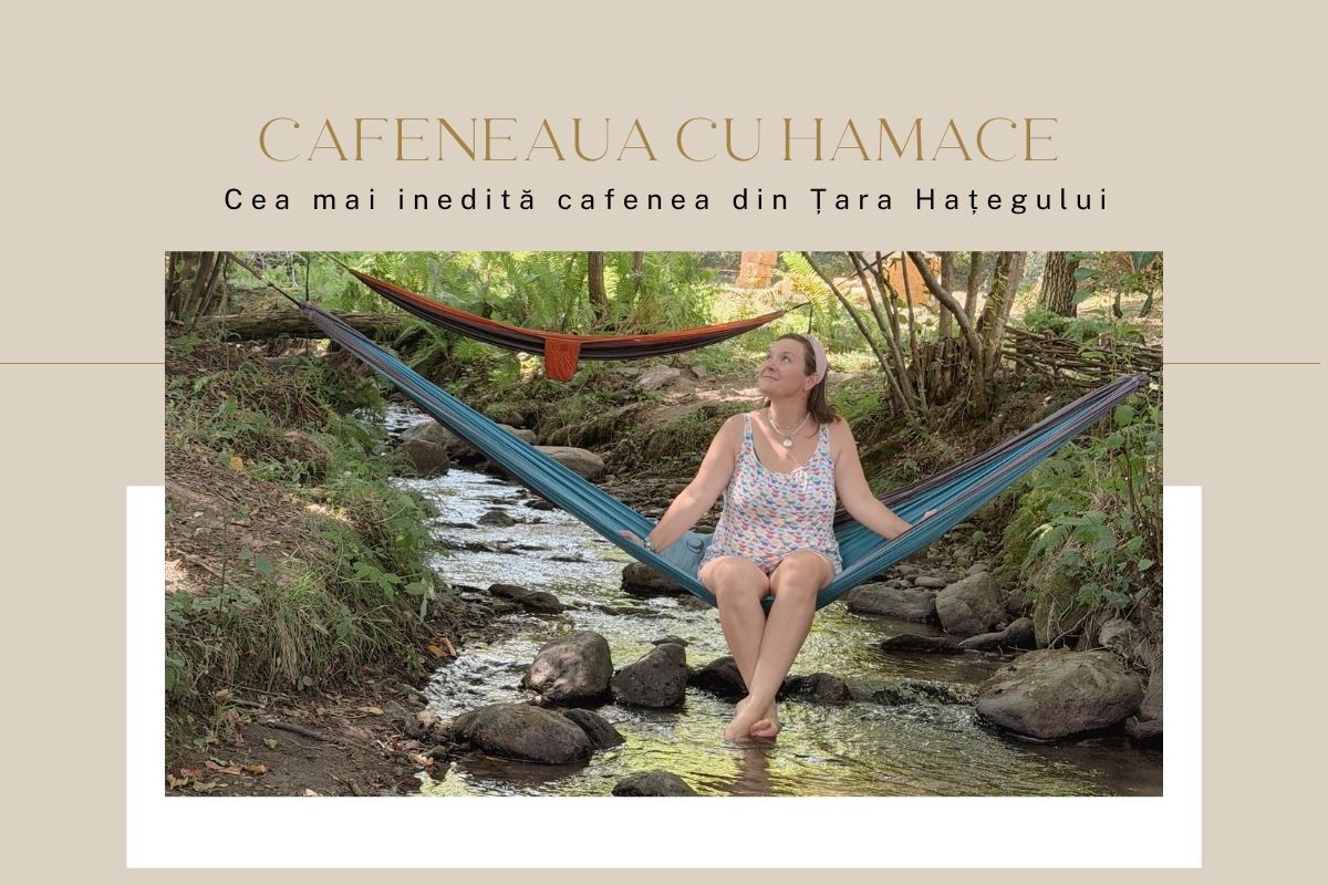 cafeneaua cu hamace blogu lu andra